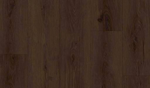 XFV2215 Black Oak